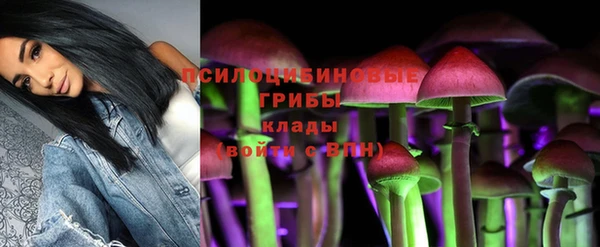 ПСИЛОЦИБИНОВЫЕ ГРИБЫ Богданович