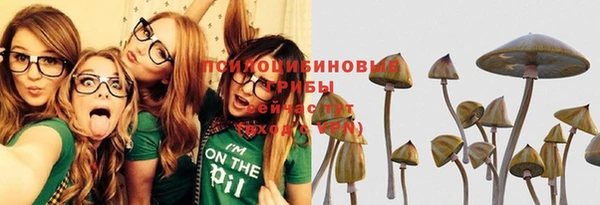 амф Слюдянка