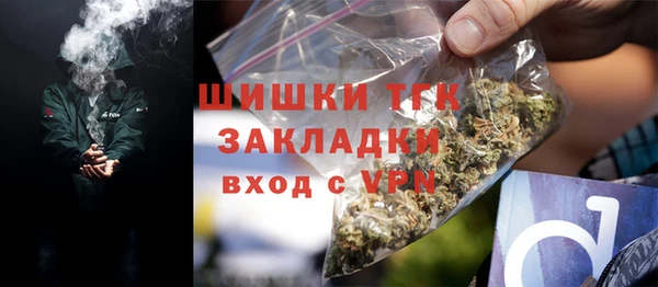 ПСИЛОЦИБИНОВЫЕ ГРИБЫ Богданович