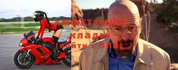 ПСИЛОЦИБИНОВЫЕ ГРИБЫ Богданович