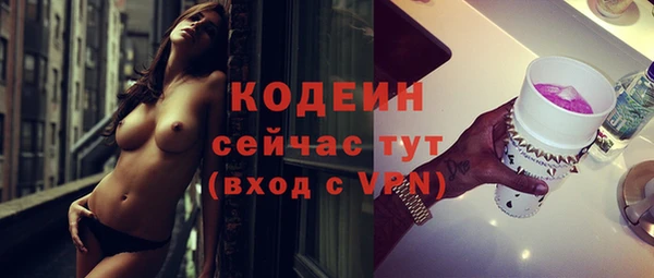 ПСИЛОЦИБИНОВЫЕ ГРИБЫ Богданович