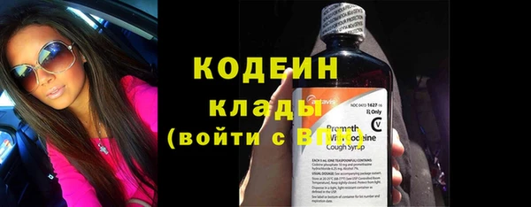 ПСИЛОЦИБИНОВЫЕ ГРИБЫ Богданович