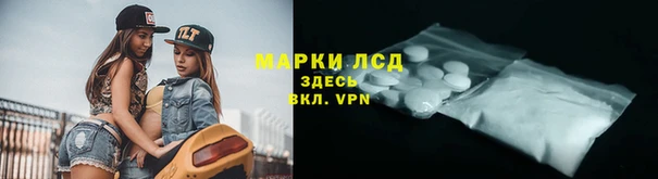 ПСИЛОЦИБИНОВЫЕ ГРИБЫ Богданович