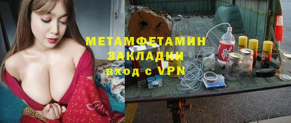 ПСИЛОЦИБИНОВЫЕ ГРИБЫ Богданович