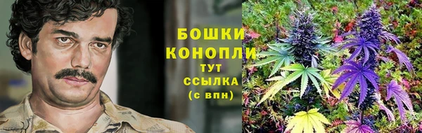 ПСИЛОЦИБИНОВЫЕ ГРИБЫ Богданович