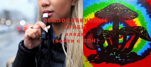 таблы Богородицк