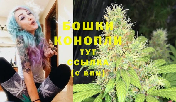 ПСИЛОЦИБИНОВЫЕ ГРИБЫ Богданович
