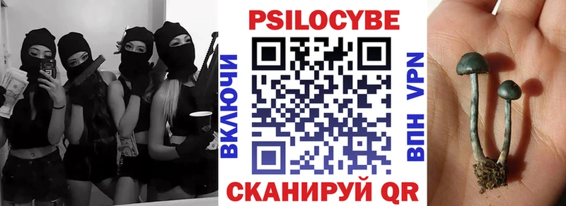 Галлюциногенные грибы Cubensis Воскресенск